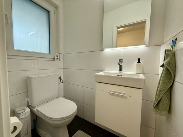 Einziehen & aufblühen - saniertes EFH mit Garten in ruhigem Quartier 9