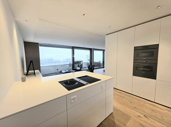 Luxuriöses Loft mit spektakulärem Alpen- und Seepanorama! 8