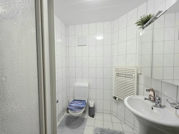 Wohnen mit Aussicht! 1.5 Zimmer Dachwohnung in Möhlin 13