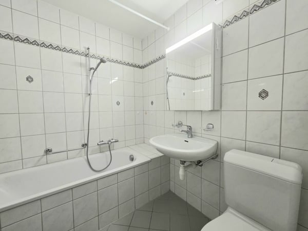 Zwischen Wald und Stadt, 1.5 Zimmer Wohnung nahe Zürich 11