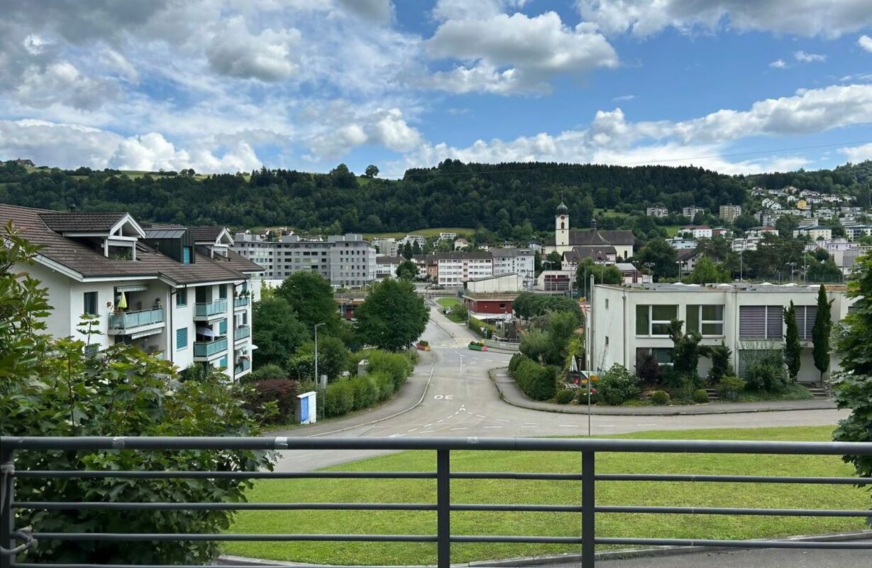 Riservato, idillio familiare con vista panoramica! Casa spaziosa a Ebikon