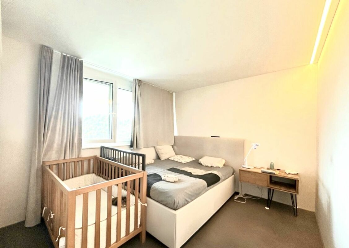Einzigartige 5.5-Zimmer-Wohnung mit Panoramablick in Hölstein!