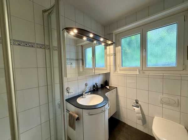 Modernisiertes 5.5-Zimmer EFH mit Pool und Panoramasicht 16