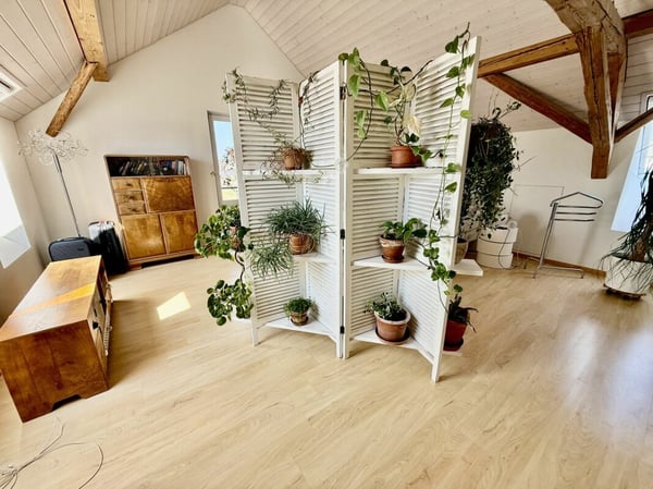 Wohnen, Arbeiten oder Investieren - Bauernhaus mit grossem Potenzial in Busswil 6