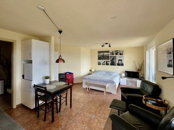 Doppeleinfamilienhaus mit separatem Studio 11