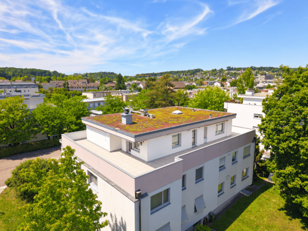 Modernisierte Attikawohnung mit traumhafter 360°-Terrasse 1