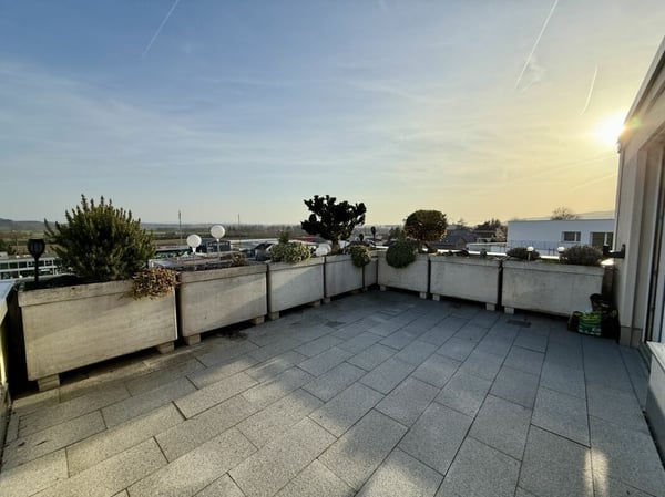 5.5 Zimmer Terrassenwohnung mit Weitsicht in Oensingen 14