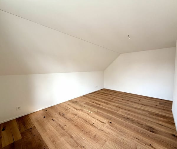 4.5 Zimmer-Wohnung komplett kernsaniert in Birr! 7