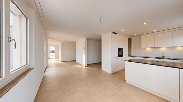 Exklusive 3.5-Zimmer-Attikawohnung im Erstbezug mit 98 m² Sonnenterrasse 2