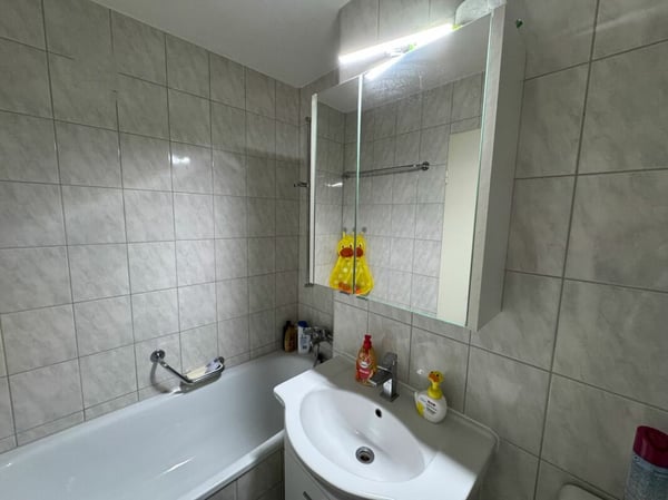 Wohnen mit Aussicht helle 3.5-Zimmerwohnung in Augst 8