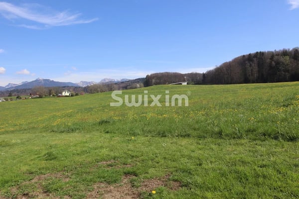 Dernière Villa à saisir ! 1