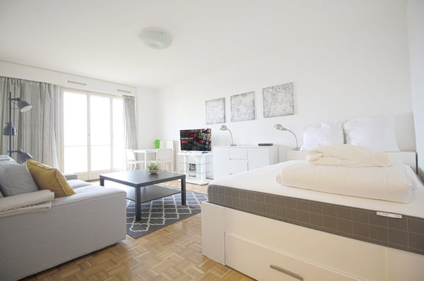 RARE: Lovely 1.5-Room furnished apartment overlooking Geneva/Charmant appartement avec vue de Genève 3