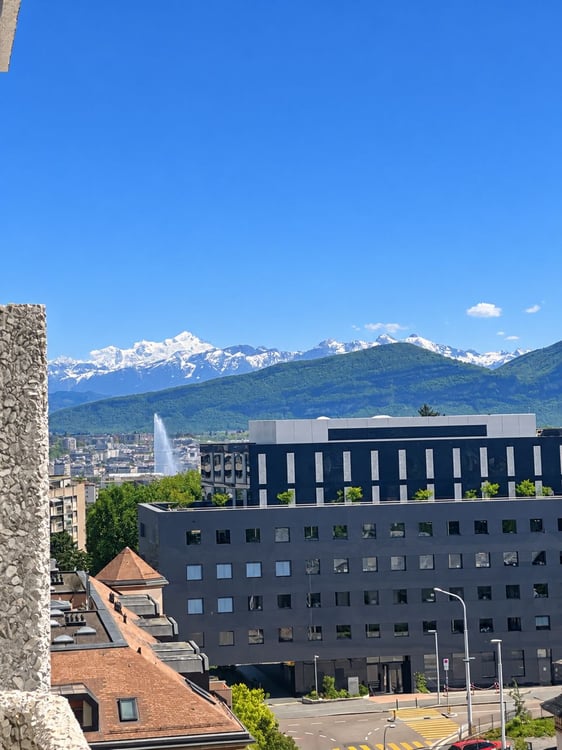 Rénové, lumineux, avec vue panoramique – Fully renovated, bright, overlooking Geneva 9