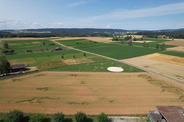 Exklusives Einfamilienhaus 4