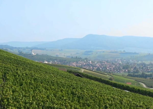 Vorschaubild der Immobilie