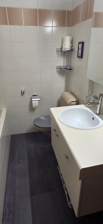 Charmante 1.5-Zimmer-Wohnung mit Balkon und Garage in Schaffhausen 6