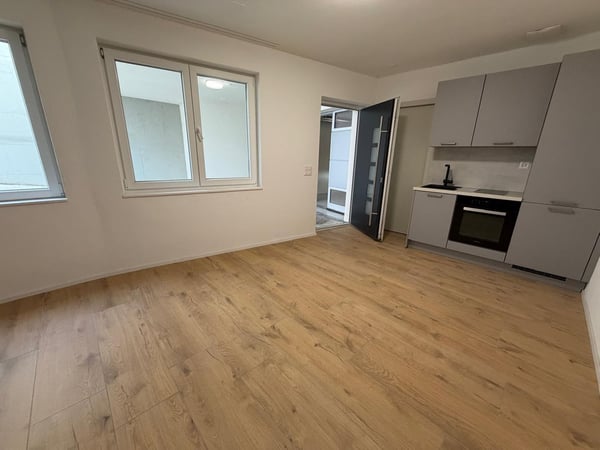 Modernes Büro im Untergeschoss – Schaffhausen, Thayngerstrasse 40 2