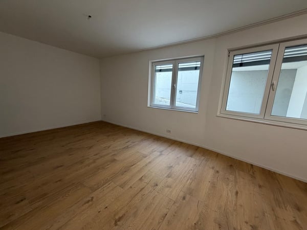 Modernes Büro im Untergeschoss – Schaffhausen, Thayngerstrasse 40 4