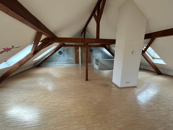 Charmantes Mehrfamilienhaus mit 4 Wohnungen an der Birsstrasse 4