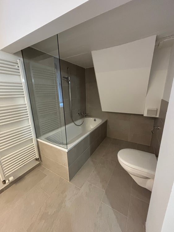 Renoviertes 5.5-Zimmer-Doppeleinfamilienhaus in Muttenz 13