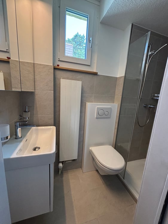 Renoviertes 5.5-Zimmer-Doppeleinfamilienhaus in Muttenz 12