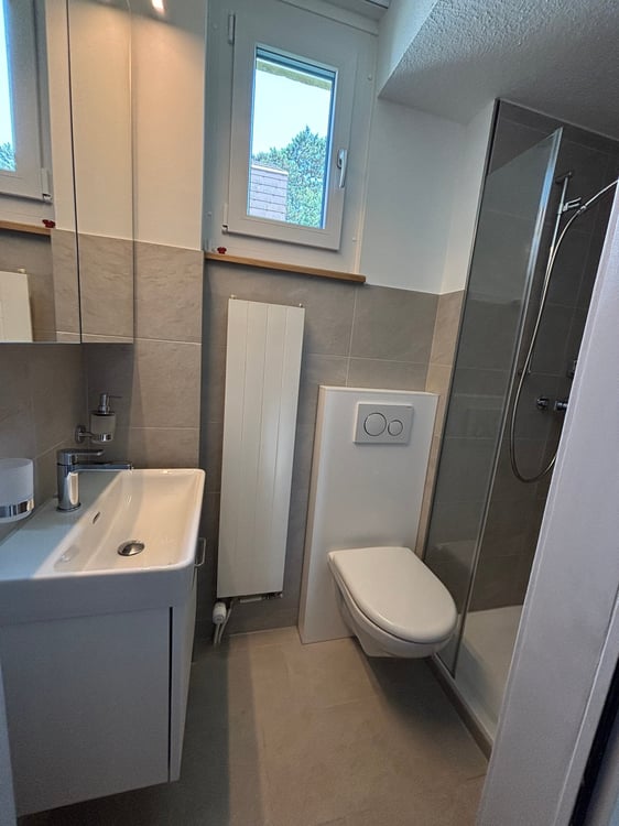 Renoviertes 5.5-Zimmer-Doppeleinfamilienhaus in Muttenz 14