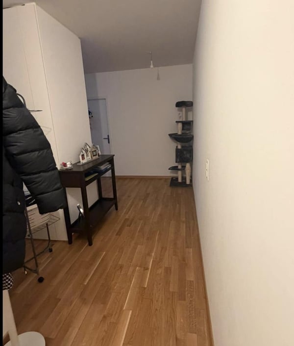 Bel appartement 1 pièces au Petit-Saconnex 3