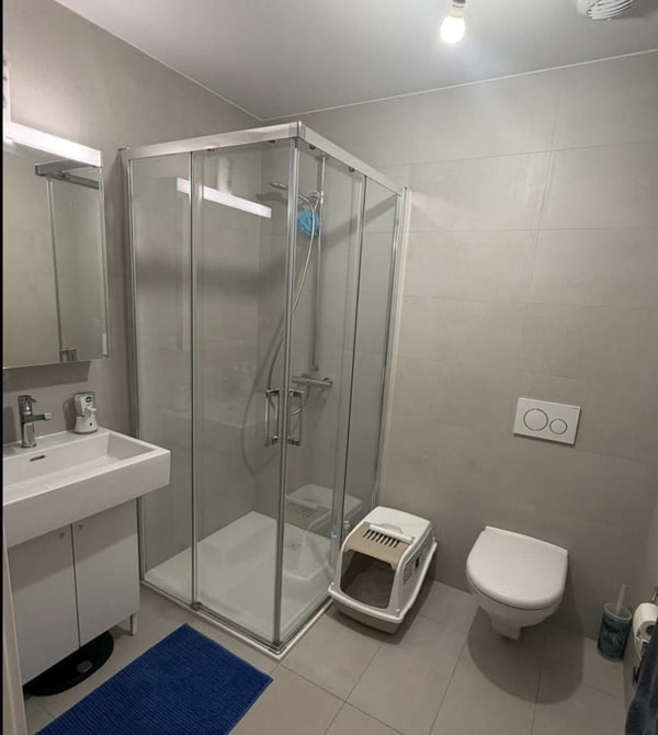 Bel appartement 1 pièces au Petit-Saconnex 7