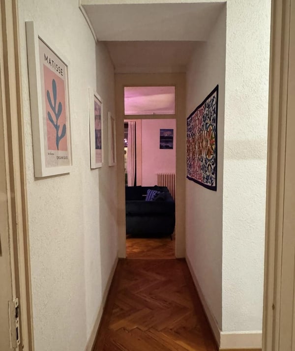 Superbe appartement 1 pièces au coeur de Plainpalais (Genève) 4