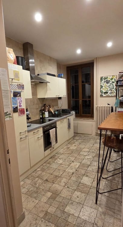 Superbe appartement 1 pièces au coeur de Plainpalais (Genève) 3