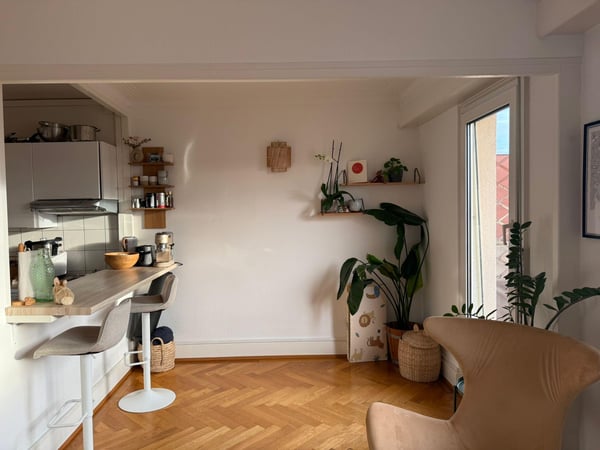 Bel appartement lumineux de 1 pièces 3
