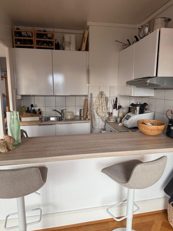 Bel appartement lumineux de 1 pièces 4