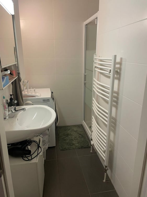 Bel appartement lumineux de 1 pièces 5