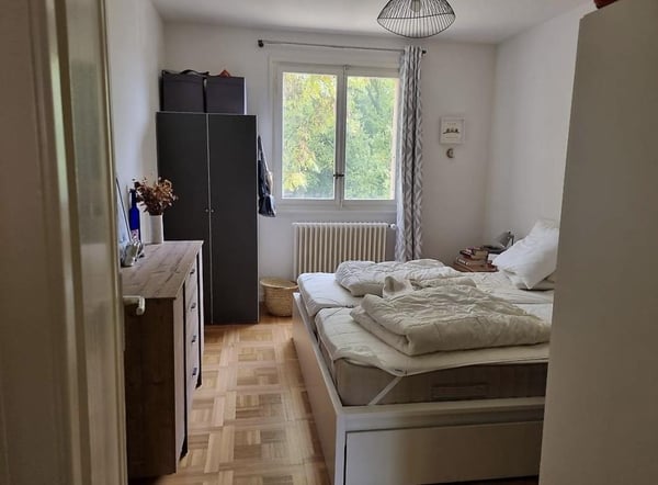 Bel appartement rénové de 1 pièces dans un secteur calme 3