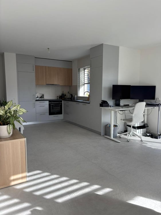 Magnifique 1.5 pièces type loft au Grand-Saconnex 3