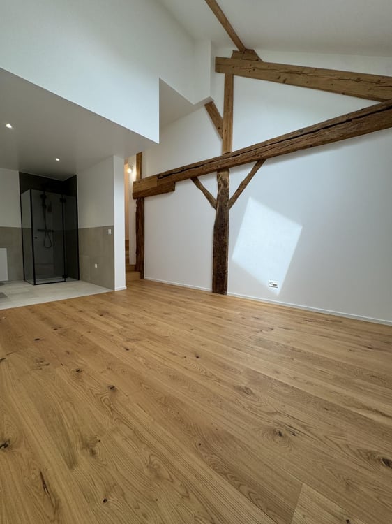 Appartement triplex d'exception entièrement rénové à vendre - 12