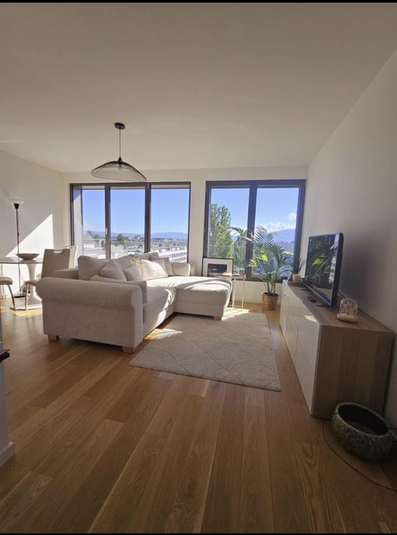 Appartement 3,5 pièces moderne et rénovée 4
