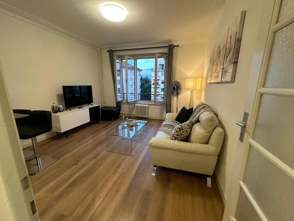 Charmant appartement meublé de 2.5 pièces 3