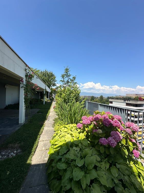 Nice appartment 3 bedrooms with swimming pool 2