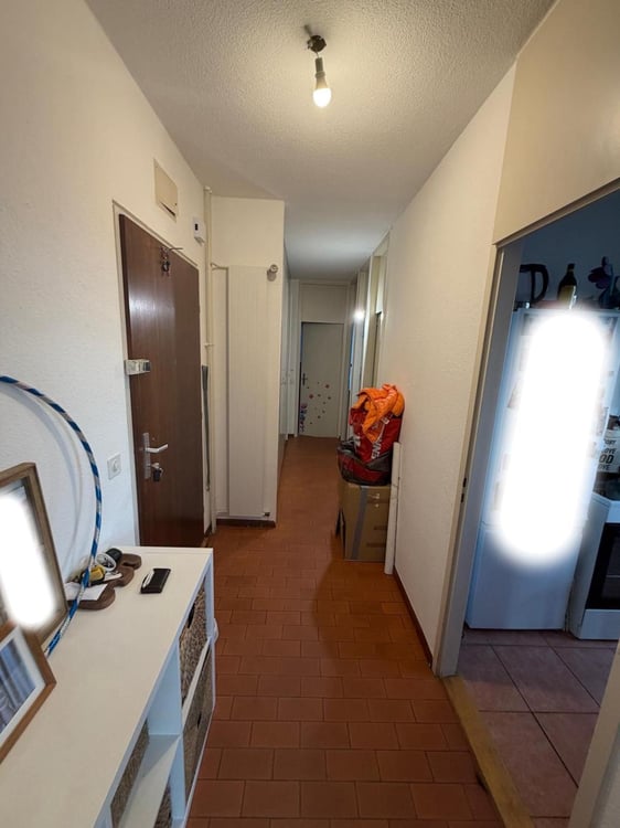 EXCLUSIVITÉ - Appartement 2 pièces situé dans le quartier de Carouge. 3