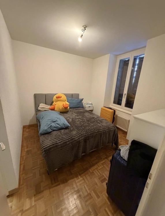 Appartement 2 pièces aux Eaux-vives 2