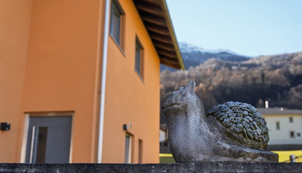 Solidi 893 m³ di Volume, Spazio, Luce e Natura 9