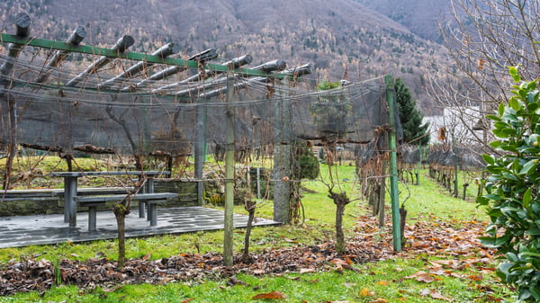 Villa Indipendente con Terreno Edificabile R2 13