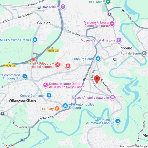 FRIBOURG, VIVRE LA VILLE, FACE À LA VERDURE-RARE-OPPORTUNITÉ 2