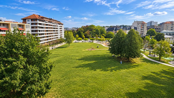 FRIBOURG, VIVRE LA VILLE, FACE À LA VERDURE-RARE-OPPORTUNITÉ 3