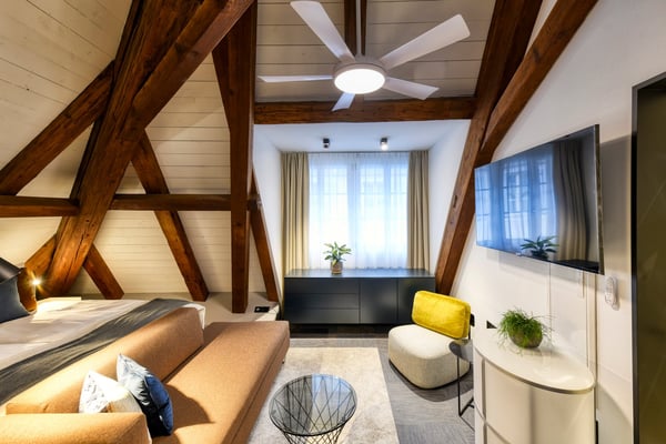 Neues möbliertes Attika-Loft an sehr zentraler Lage in Altdorf 2