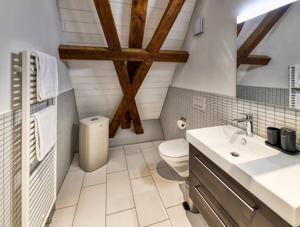 Neues möbliertes Attika-Loft an sehr zentraler Lage in Altdorf 13