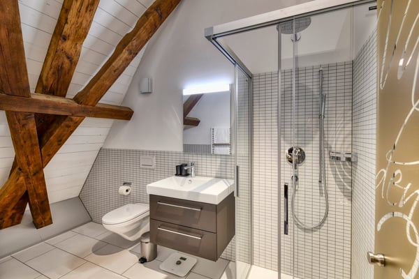 Neues möbliertes Attika-Loft an sehr zentraler Lage in Altdorf 12