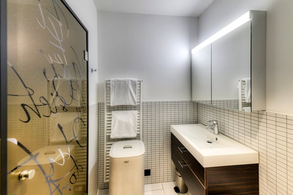 Neues möbliertes 2-Zimmer-Apartment an sehr zentraler Lage in Altdorf 13