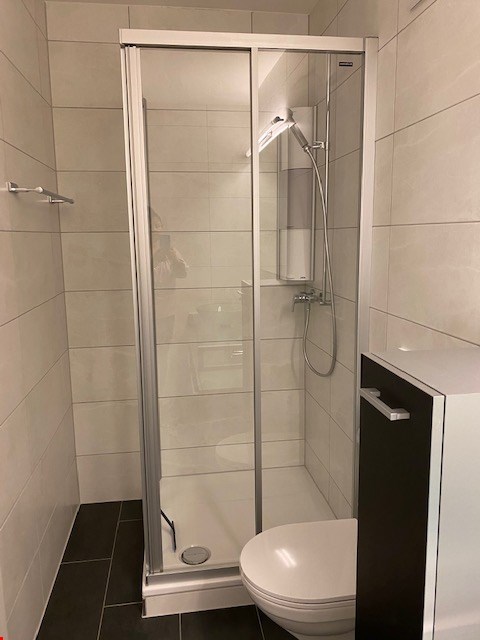 Modernes, möbliertes Studio in Hergiswil zu vermieten 5
